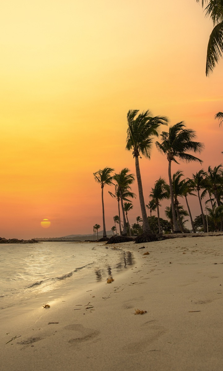 Félucitude - Le chemin vers votre épanouissement commence ici.